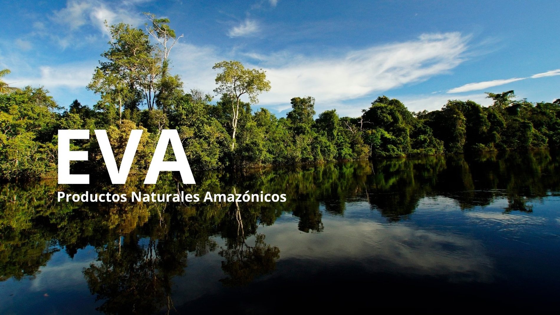 Río y bosque amazónico en Loreto